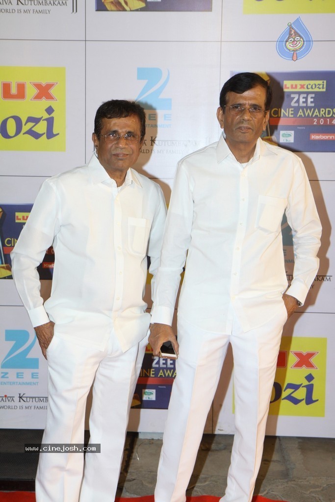 Hot Celebs at Zee Cine Awards 2014 - 27 / 74 photos