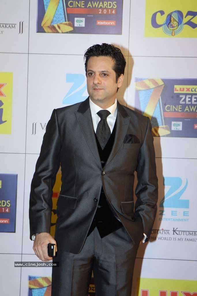 Hot Celebs at Zee Cine Awards 2014 - 32 / 74 photos