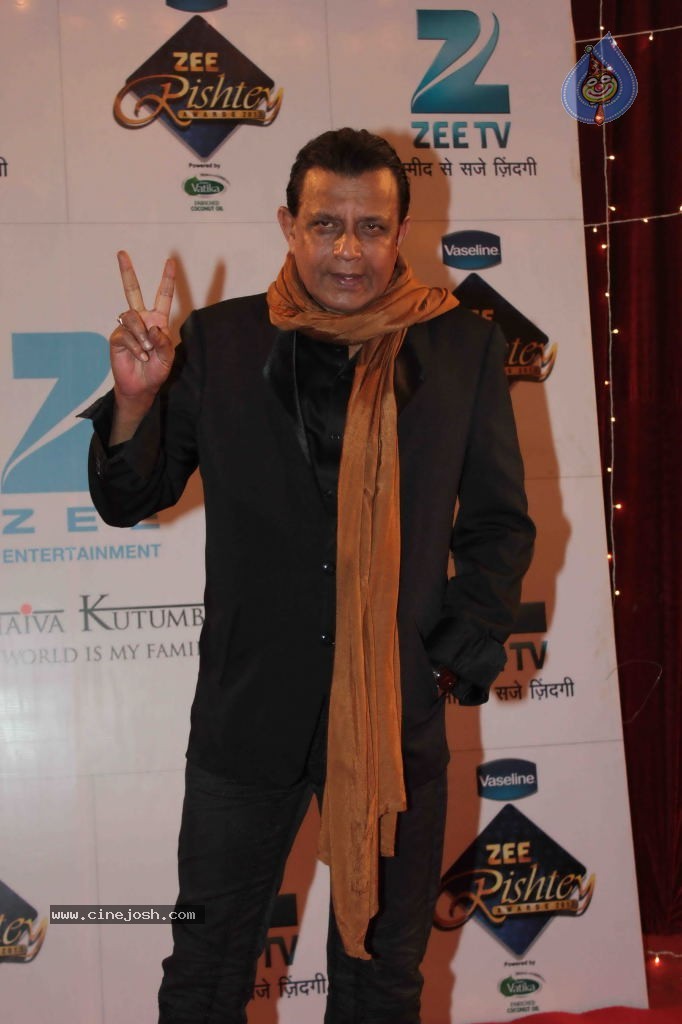 Bolly Celebs at Zee Rishtey Awards 2013 - 30 / 83 photos