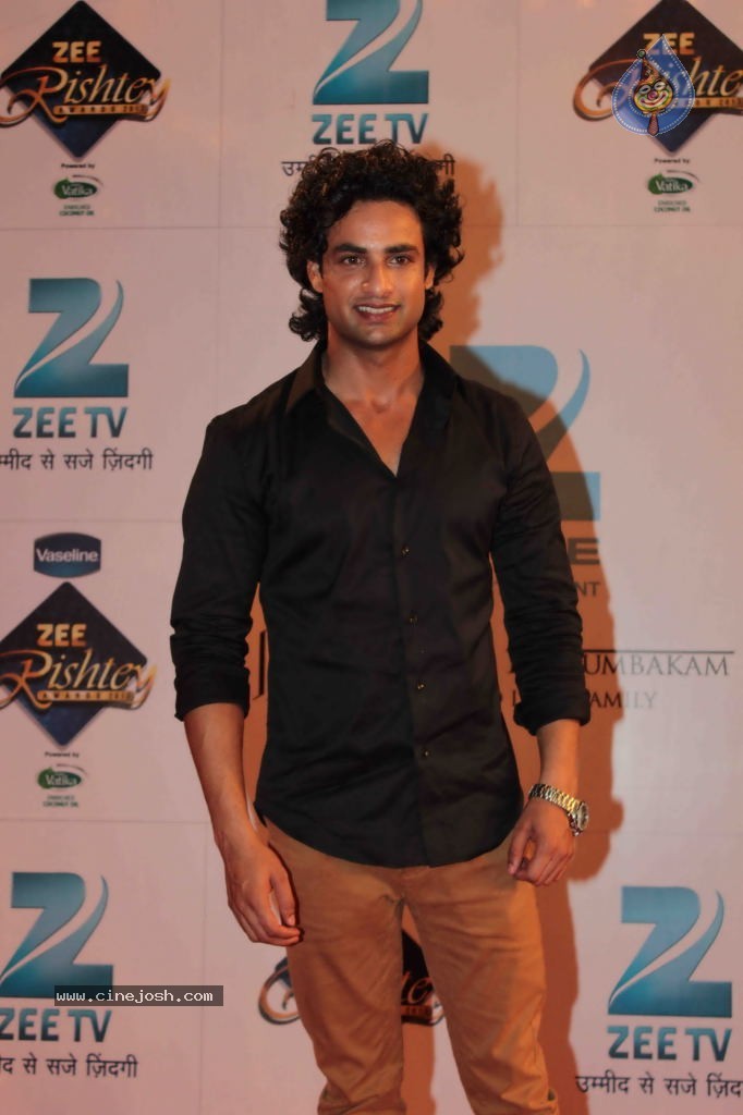Bolly Celebs at Zee Rishtey Awards 2013 - 43 / 83 photos