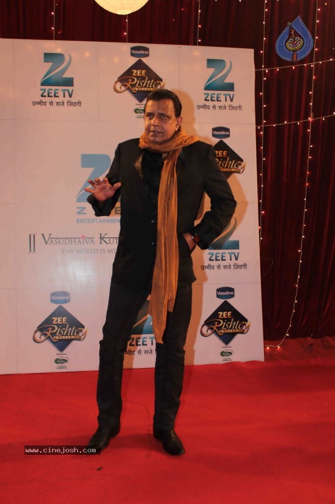 Bolly Celebs at Zee Rishtey Awards 2013 - 69 / 83 photos