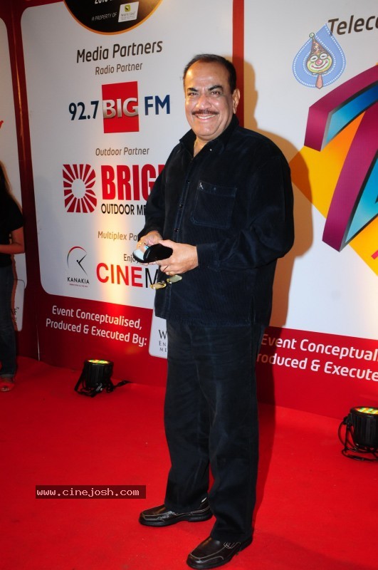 Bolly Celebs at ZEE Tv Boroplus Gold Awards - 22 / 34 photos