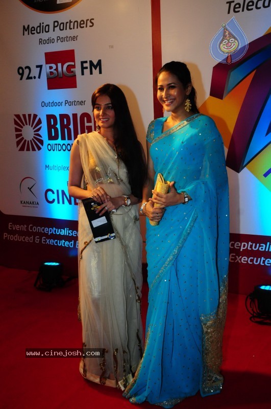 Bolly Celebs at ZEE Tv Boroplus Gold Awards - 33 / 34 photos