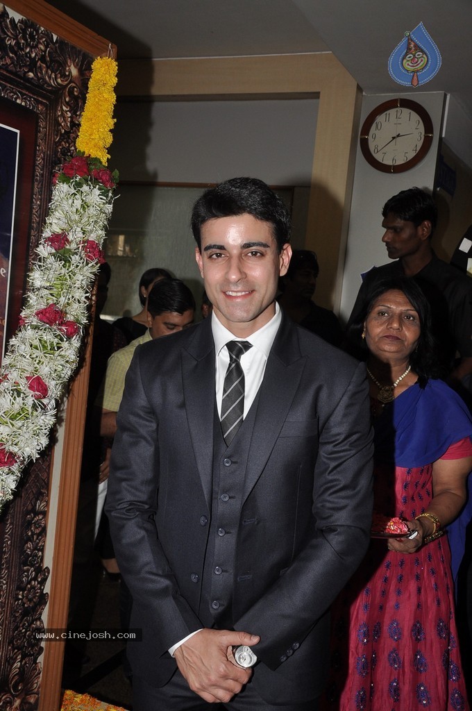 Bolly Celebs at Dadasaheb Phalke Academy Awards 2014 - 25 / 91 photos