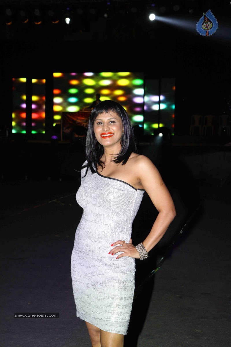 Bolly Celebs Perform at New Year Eve 2015 Celebrations - 36 / 107 photos