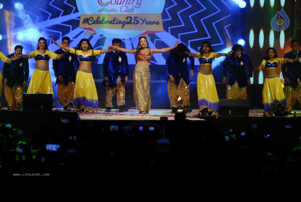 Bolly Celebs Perform at New Year Eve 2015 Celebrations - 45 / 107 photos