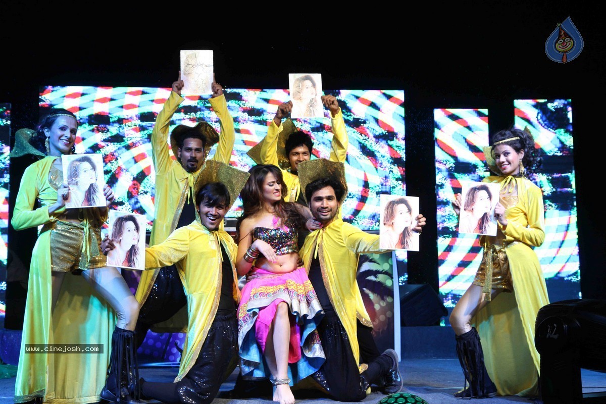 Bolly Celebs Perform at New Year Eve 2015 Celebrations - 47 / 107 photos