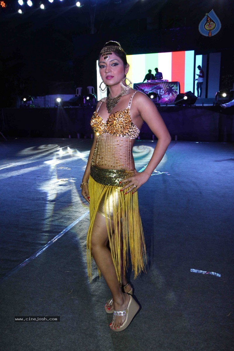 Bolly Celebs Perform at New Year Eve 2015 Celebrations - 59 / 107 photos