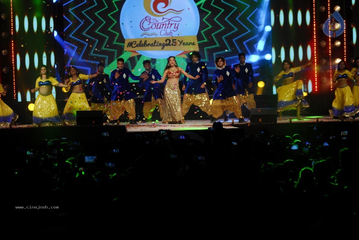Bolly Celebs Perform at New Year Eve 2015 Celebrations - 66 / 107 photos