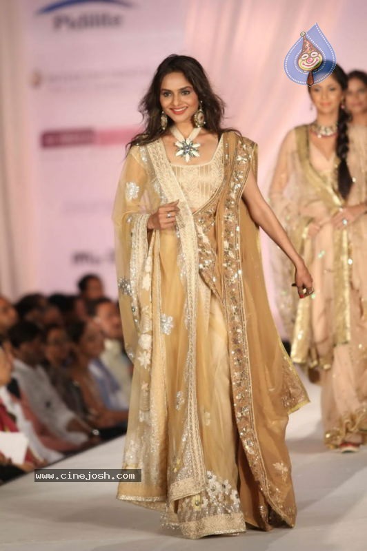 Bolly Celebs Walk the Ramp at Pidilite CPAA Fashion Show - 24 / 65 photos