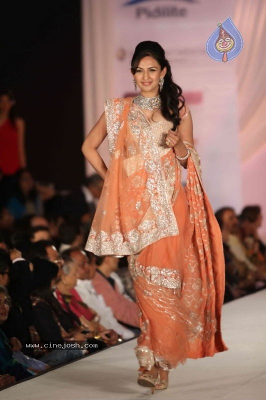 Bolly Celebs Walk the Ramp at Pidilite CPAA Fashion Show - 31 / 65 photos