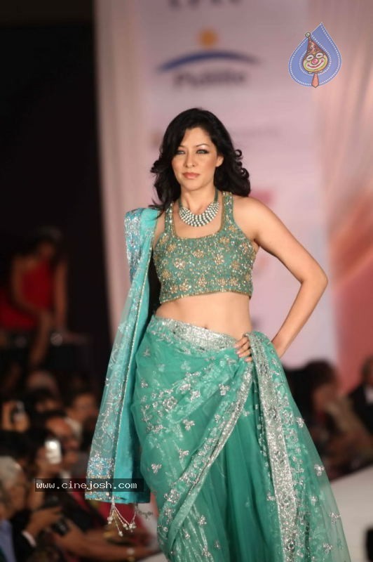 Bolly Celebs Walk the Ramp at Pidilite CPAA Fashion Show - 52 / 65 photos