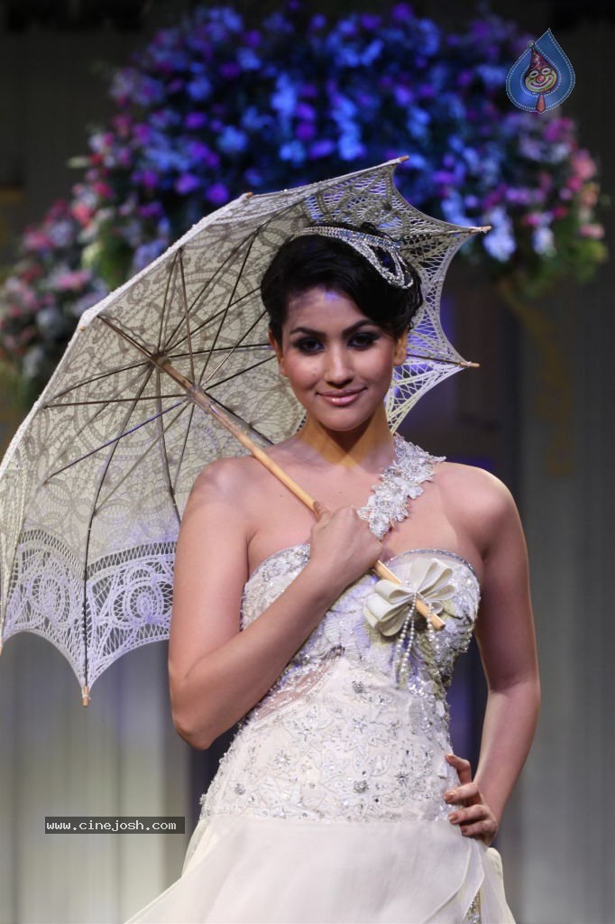 Bolly Celebs Walks the Ramp at AVIBFW- 01 - 32 / 118 photos