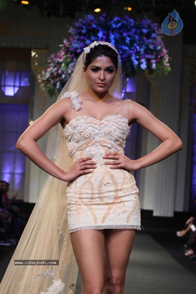 Bolly Celebs Walks the Ramp at AVIBFW- 01 - 85 / 118 photos