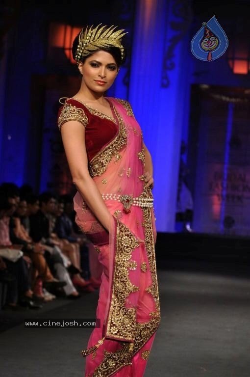 Bolly Celebs Walks the Ramp at AVIBFW- 02 - 80 / 115 photos