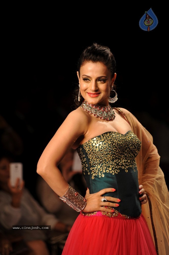Bolly Celebs Walks the Ramp at IIJW 2014 - 16 / 131 photos