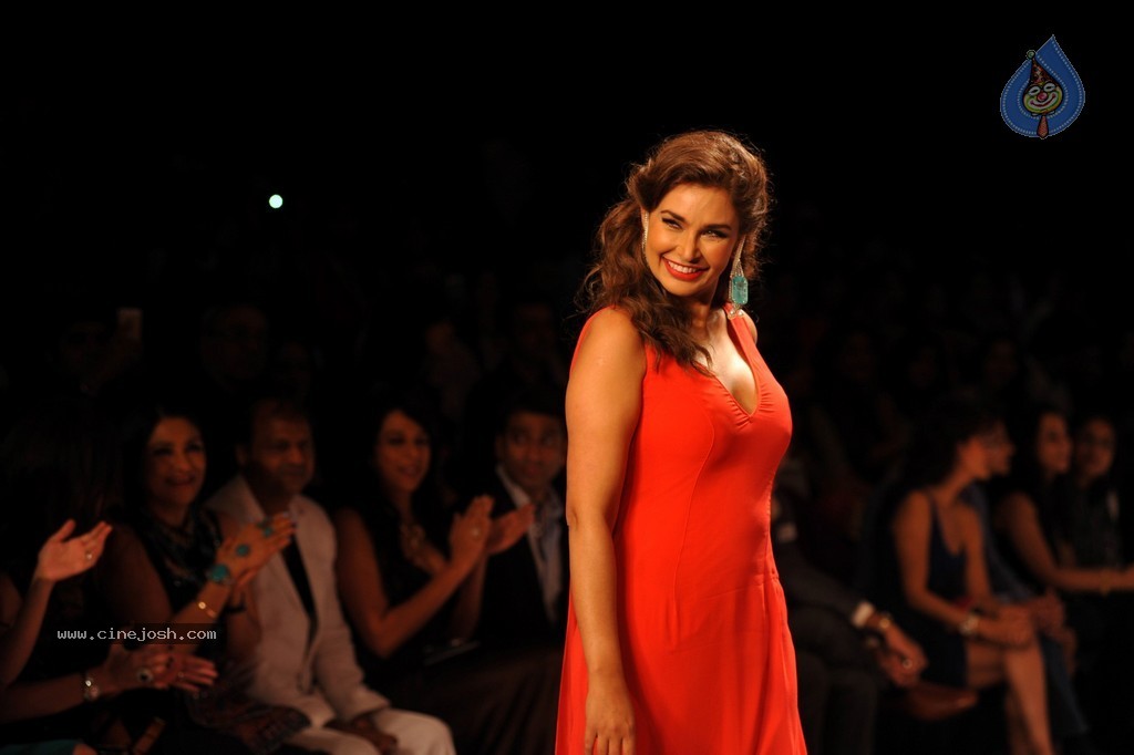 Bolly Celebs Walks the Ramp at IIJW 2014 - 24 / 131 photos
