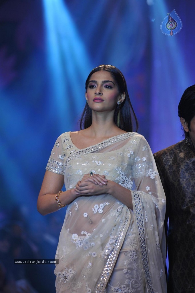 Bolly Celebs Walks the Ramp at IIJW 2014 Grand Finale - 30 / 114 photos