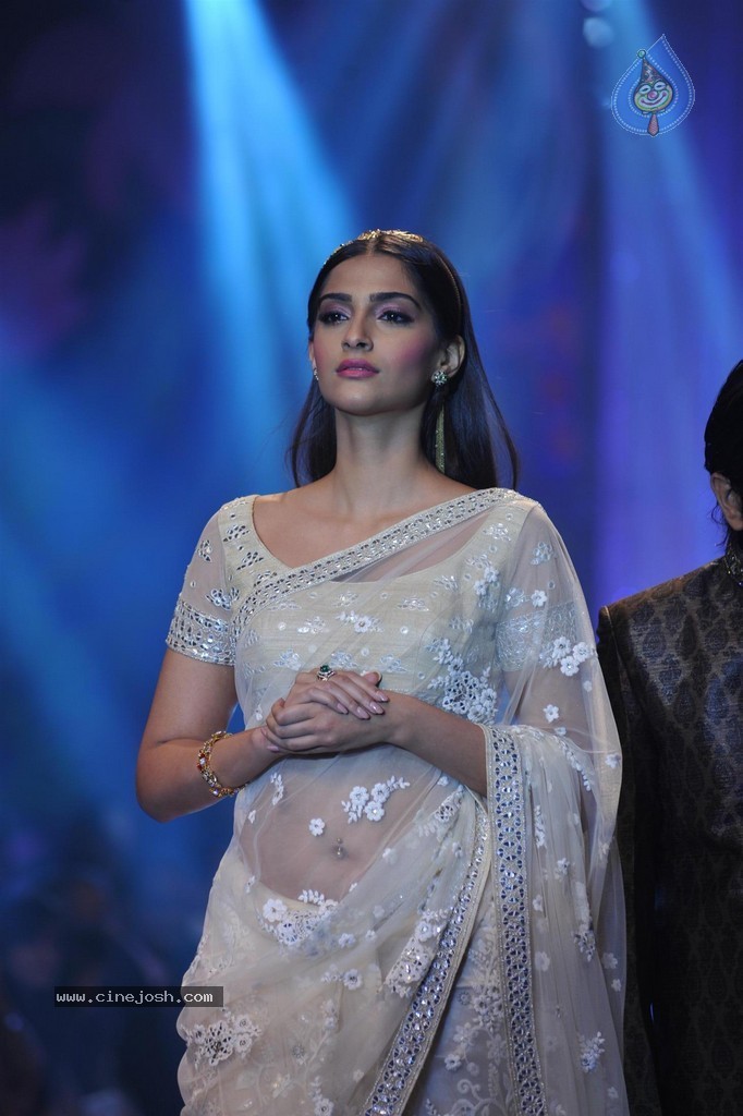 Bolly Celebs Walks the Ramp at IIJW 2014 Grand Finale - 42 / 114 photos