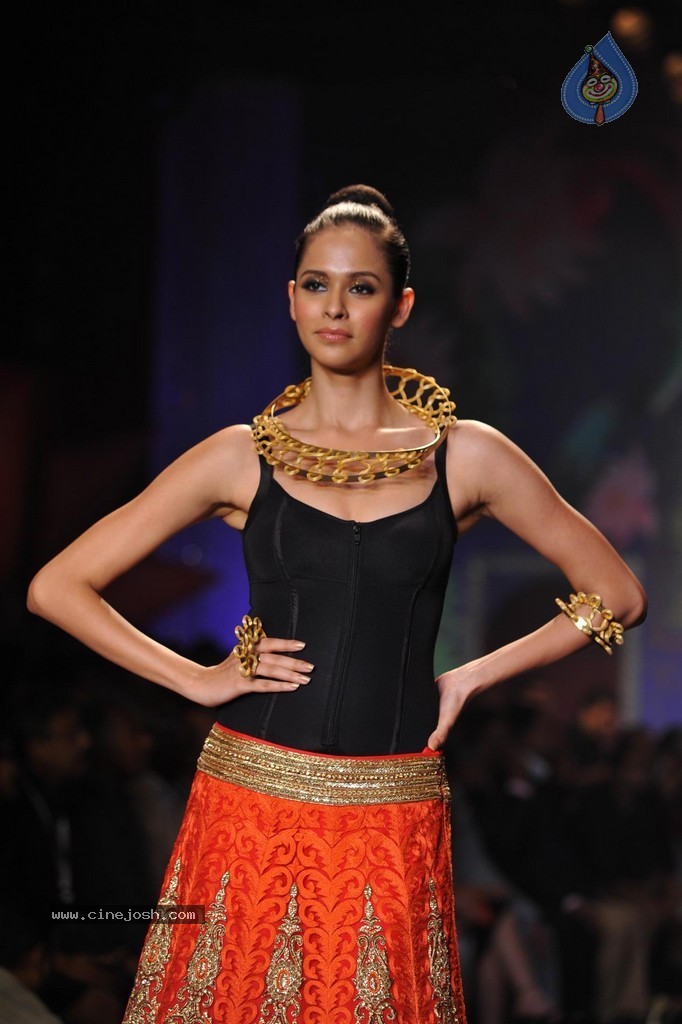 Bolly Celebs Walks the Ramp at IIJW 2014 Grand Finale - 45 / 114 photos