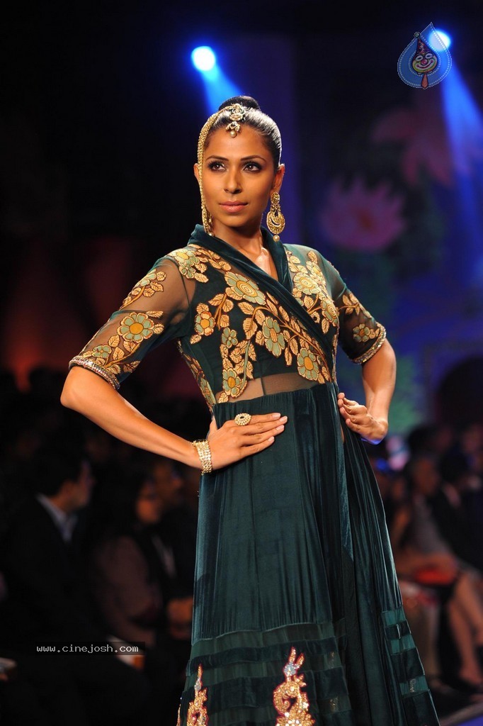Bolly Celebs Walks the Ramp at IIJW 2014 Grand Finale - 79 / 114 photos