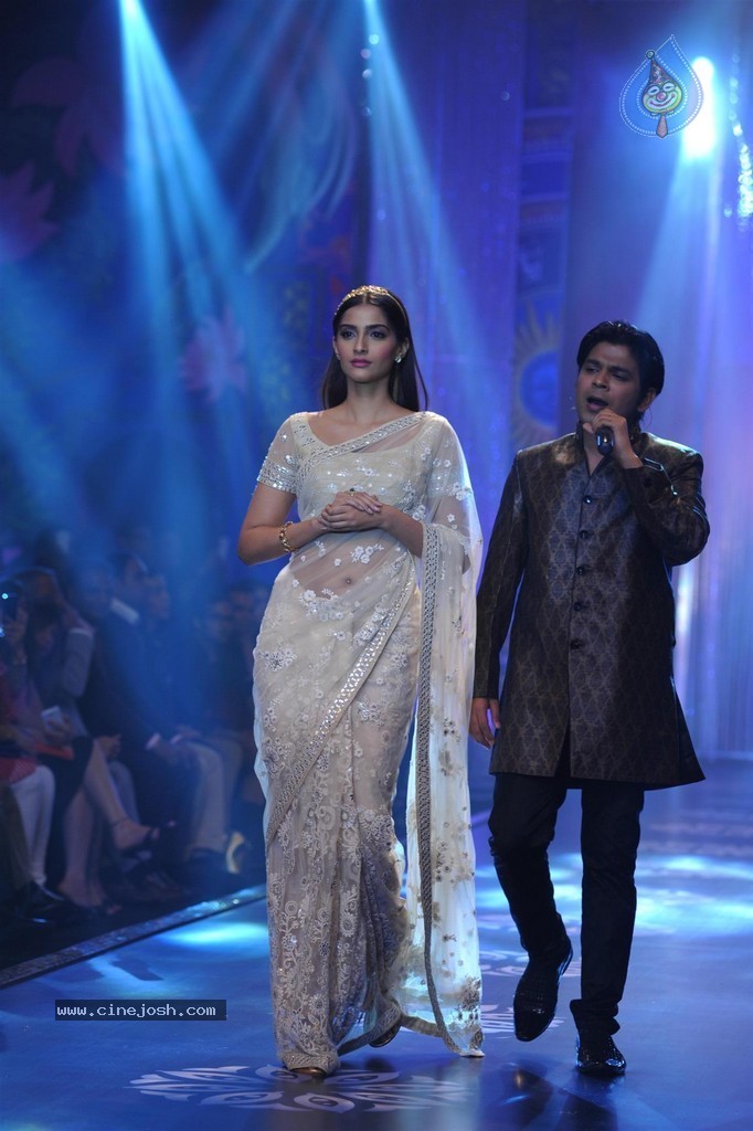 Bolly Celebs Walks the Ramp at IIJW 2014 Grand Finale - 110 / 114 photos