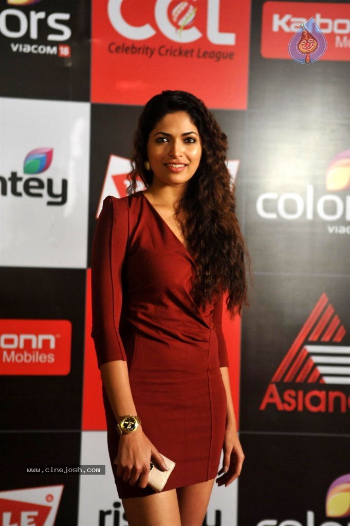 Bolly n South Celebs at CCL Season 4 Launch 01 - 93 / 150 photos