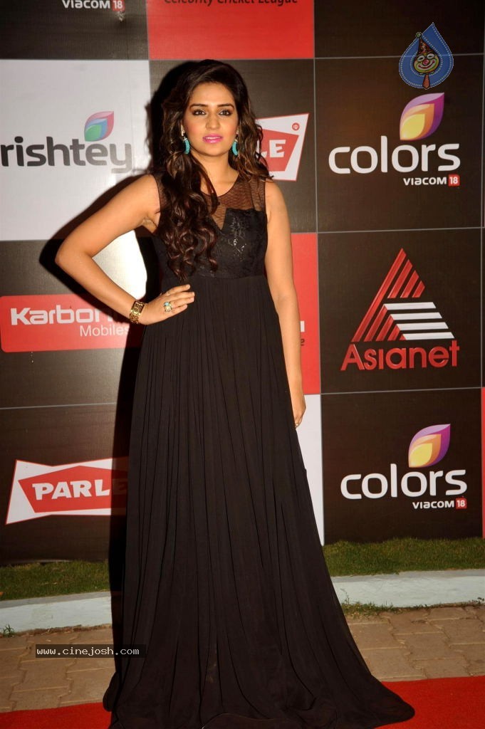 Bolly n South Celebs at CCL Season 4 Launch 01 - 141 / 150 photos