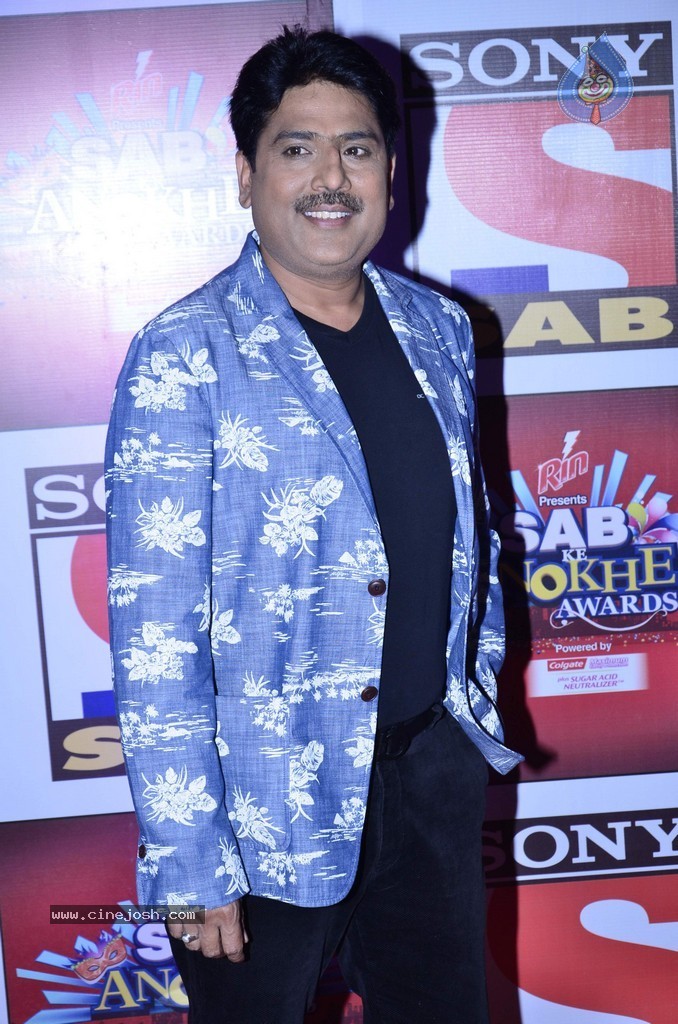 Bolly n TV Celebs at SAB Ke Anokhe Awards 2014 - 15 / 102 photos