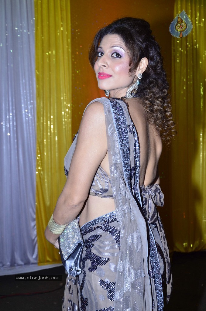 Bolly n TV Celebs at SAB Ke Anokhe Awards 2014 - 101 / 102 photos