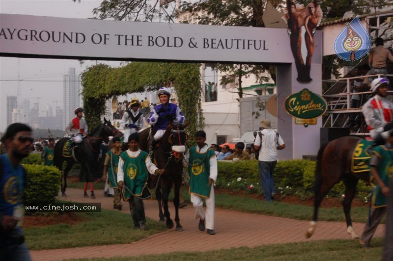 McDowell Signature Indian Derby 2010 - 47 / 79 photos