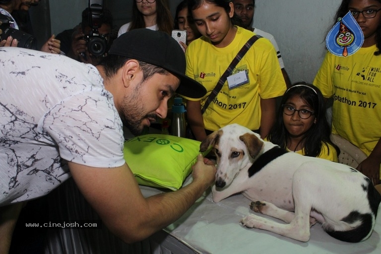 Bollywood Celebrities At Pet Adoptathon 2017 - 1 / 12 photos