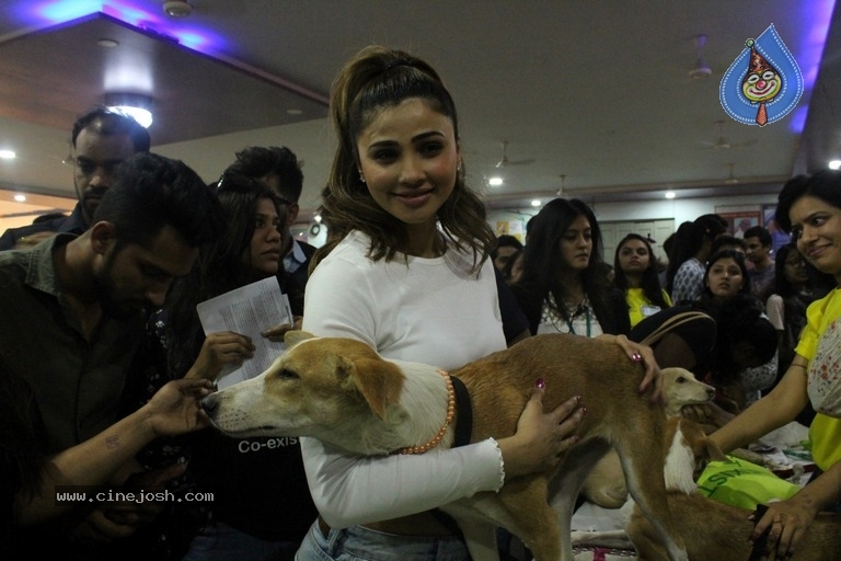Bollywood Celebrities At Pet Adoptathon 2017 - 4 / 12 photos