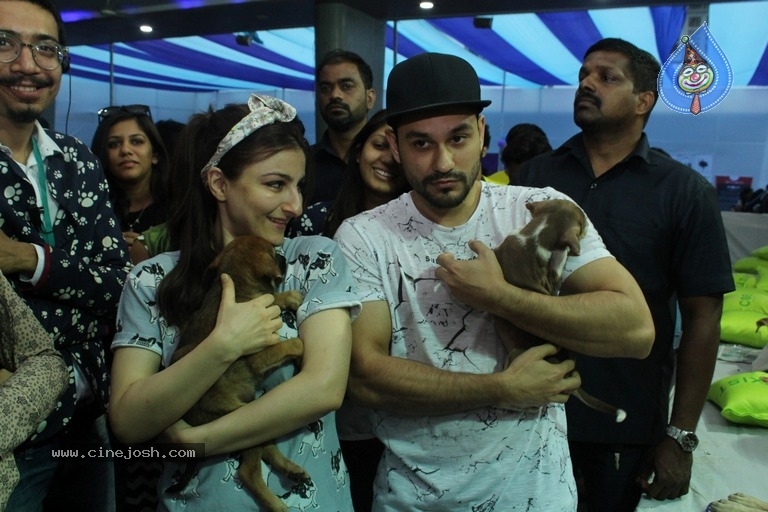 Bollywood Celebrities At Pet Adoptathon 2017 - 6 / 12 photos
