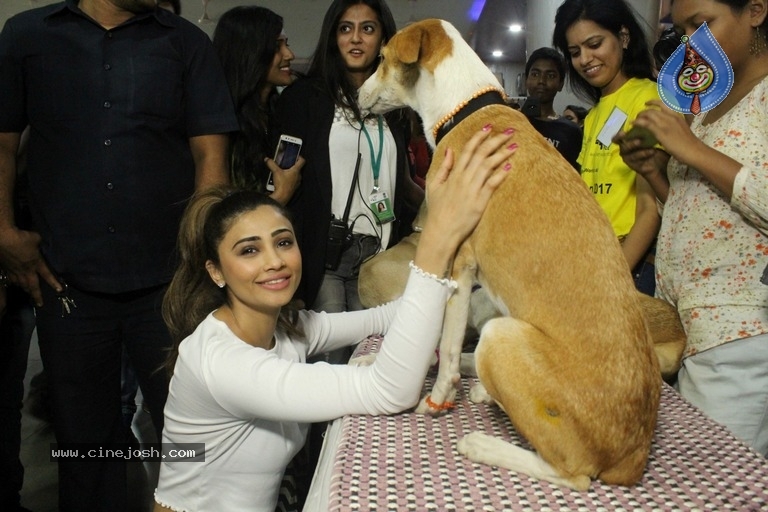 Bollywood Celebrities At Pet Adoptathon 2017 - 7 / 12 photos