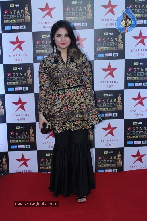 Bollywood Celebrities At Star Screen Awards 2017 - 2 / 33 photos