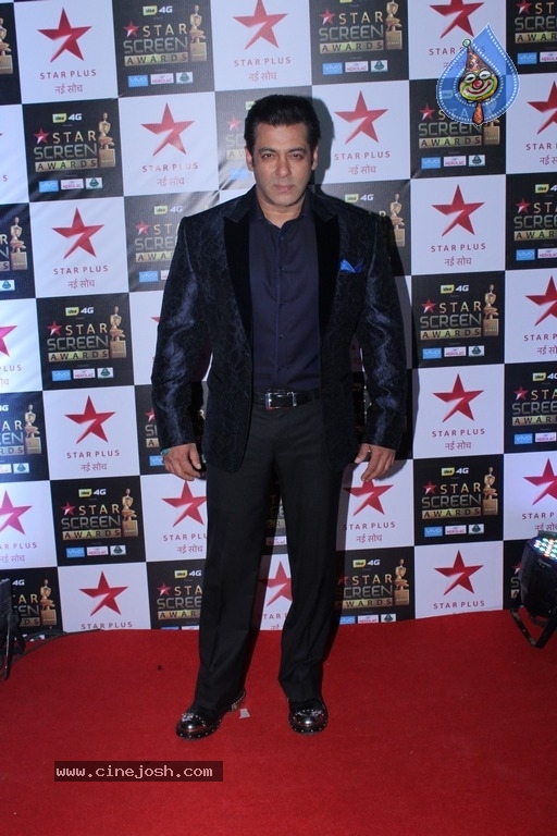 Bollywood Celebrities At Star Screen Awards 2017 - 10 / 33 photos