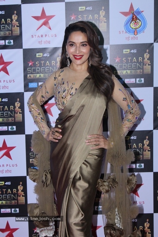 Bollywood Celebrities At Star Screen Awards 2017 - 21 / 33 photos