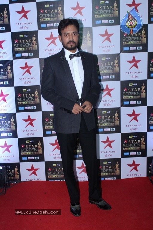 Bollywood Celebrities At Star Screen Awards 2017 - 22 / 33 photos