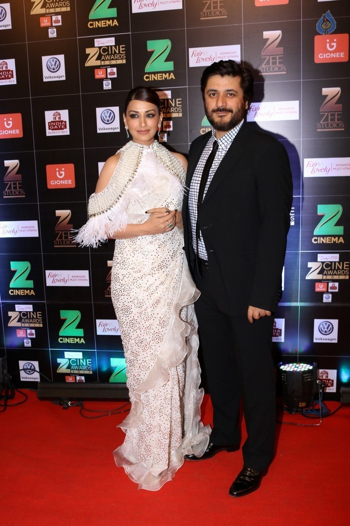 Bollywood Celebrities at Zee Cine Awards Red Carpet - 35 / 92 photos