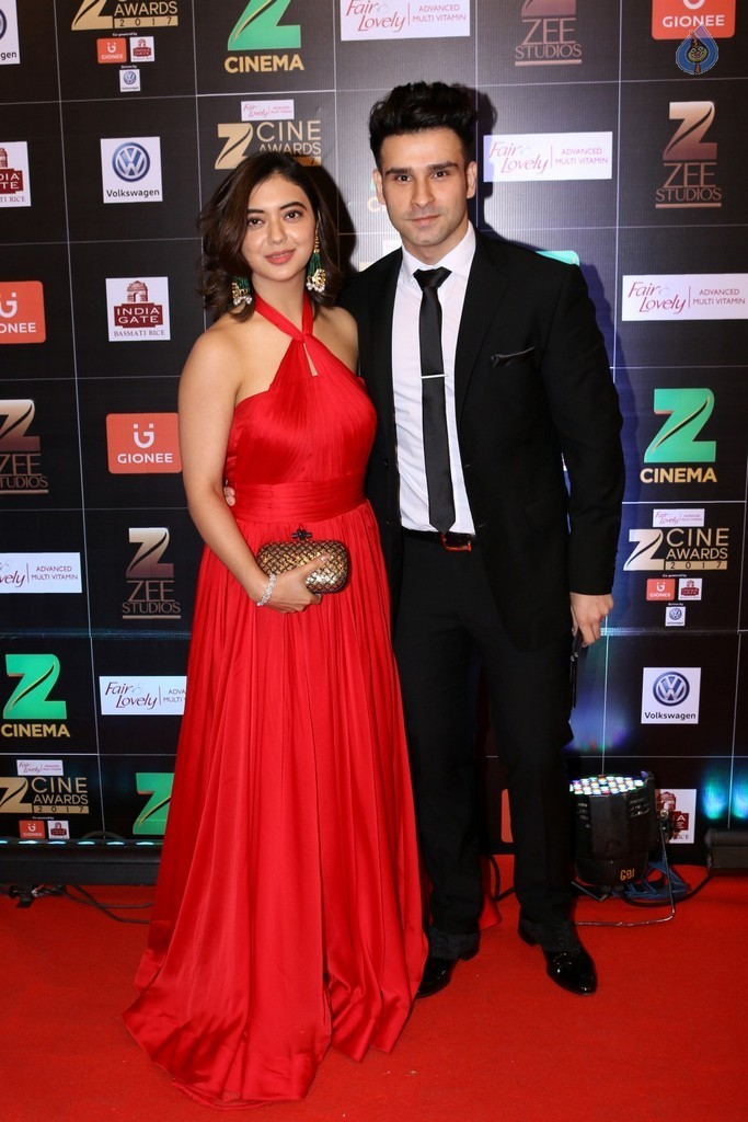 Bollywood Celebrities at Zee Cine Awards Red Carpet - 44 / 92 photos