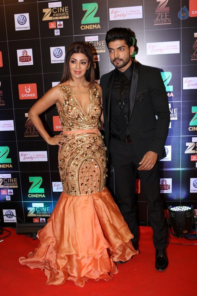 Bollywood Celebrities at Zee Cine Awards Red Carpet - 80 / 92 photos