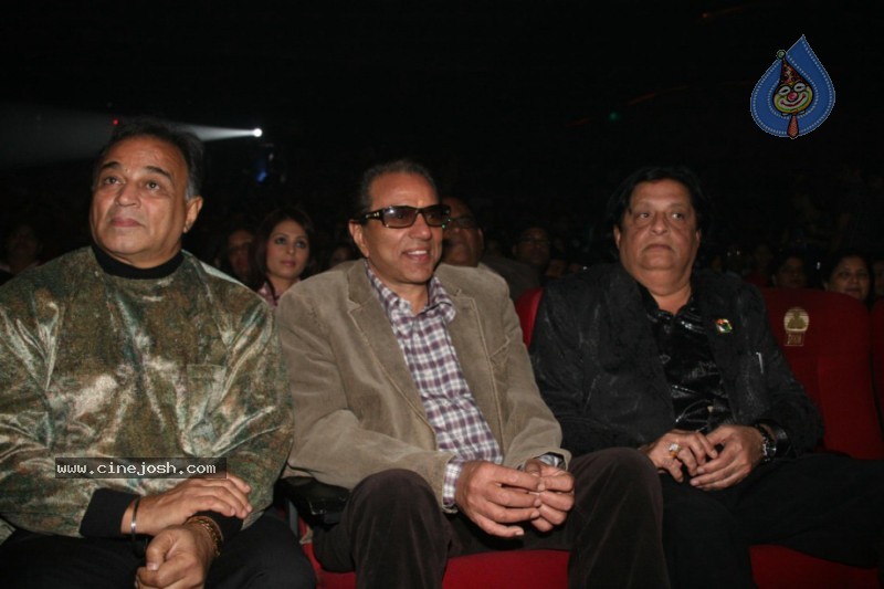 Bollywood Celebs At 16th Lions Gold Awards Function - 15 / 70 photos