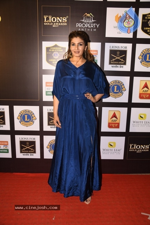 Bollywood Celebs At 24th SOL Lions Gold Awards - 20 / 21 photos