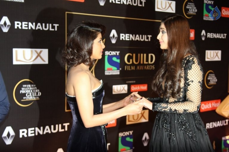 Bollywood Stars at Guild Film Awards 2015 - 10 / 42 photos