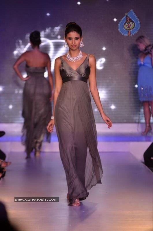 Bollywood Top Models at Rose Fashion Show - 57 / 154 photos