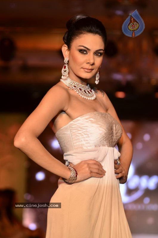 Bollywood Top Models at Rose Fashion Show - 71 / 154 photos