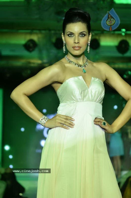 Bollywood Top Models at Rose Fashion Show - 78 / 154 photos