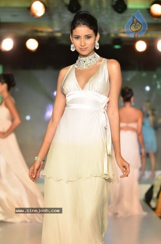 Bollywood Top Models at Rose Fashion Show - 118 / 154 photos