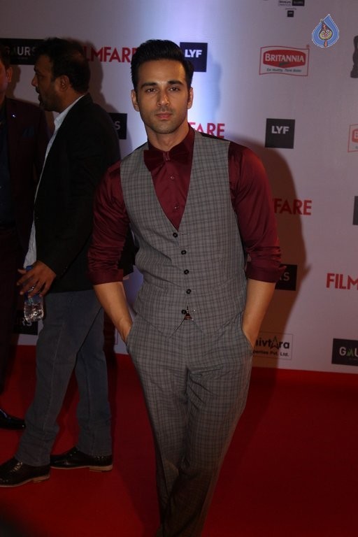 Celebrities at Filmfare 2016 Awards 1 - 22 / 84 photos